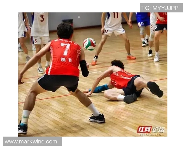 杭州排球队的拼搏之路：一段关于汗水与荣耀的排球纪实